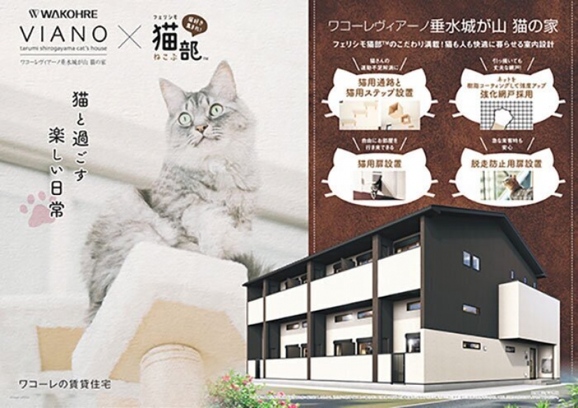 How to construct a home for lonely cat-lovers in Japan How to construct a home for lonely cat-lovers in Japan