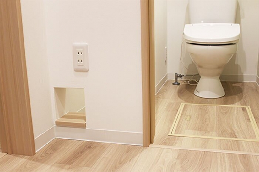 How to construct a home for lonely cat-lovers in Japan How to construct a home for lonely cat-lovers in Japan