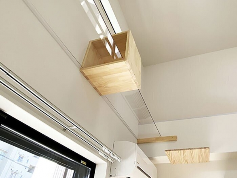 How to construct a home for lonely cat-lovers in Japan How to construct a home for lonely cat-lovers in Japan