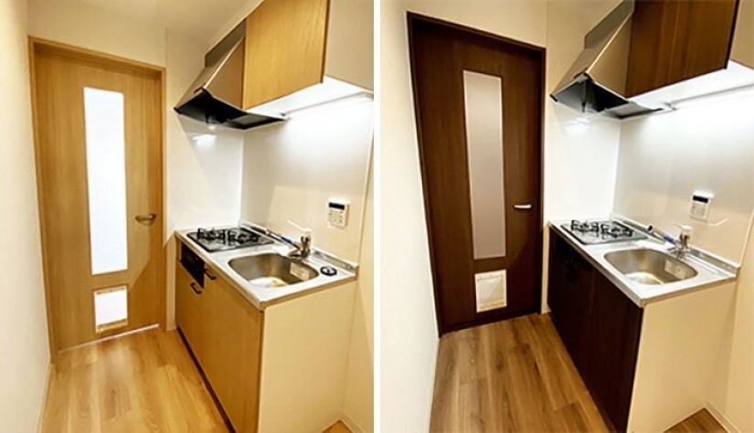 How to construct a home for lonely cat-lovers in Japan How to construct a home for lonely cat-lovers in Japan