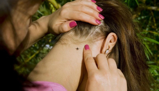 How to escape from ticks? Forewarned means armed