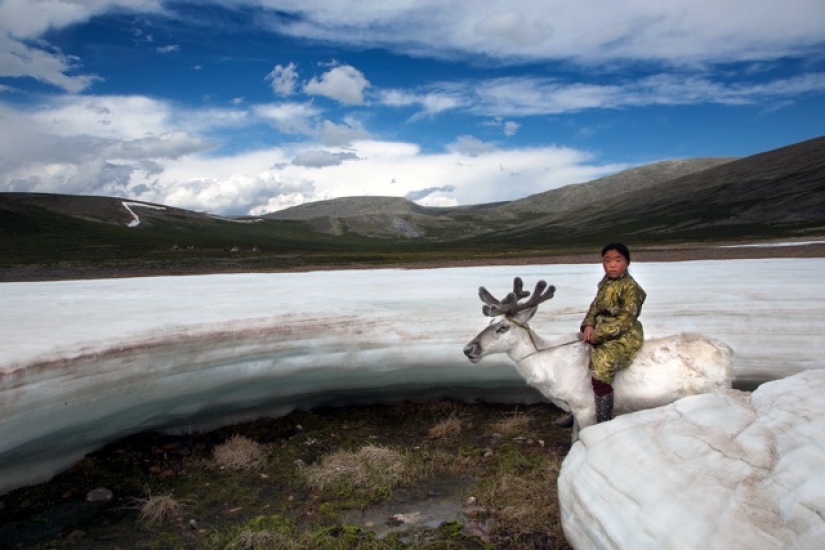 How to live an endangered tribe of reindeer herders from Mongolia