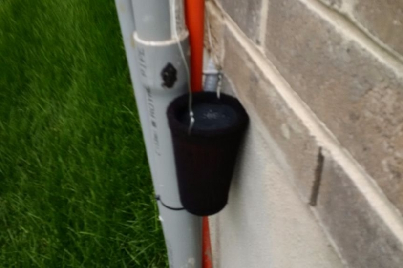 How to Make a Simple mosquito Trap that Kills Insects with 98 Percent Efficiency