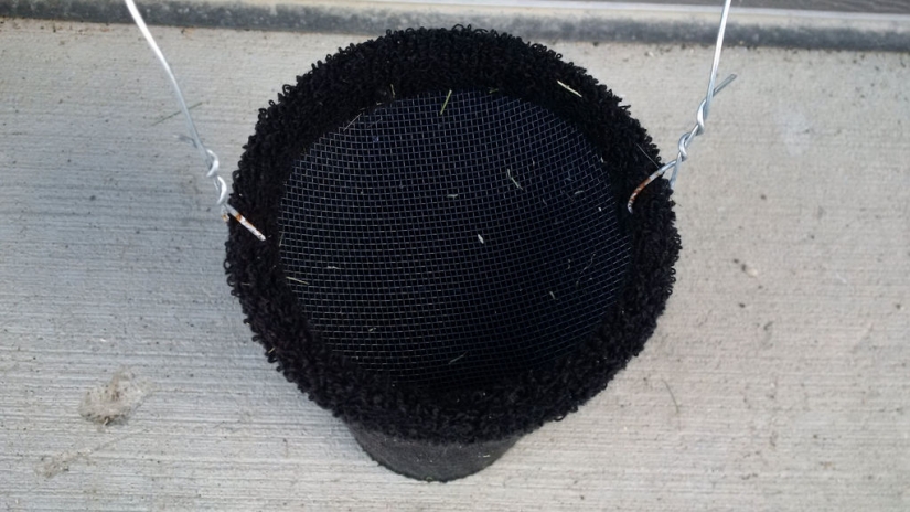 How to Make a Simple mosquito Trap that Kills Insects with 98 Percent Efficiency