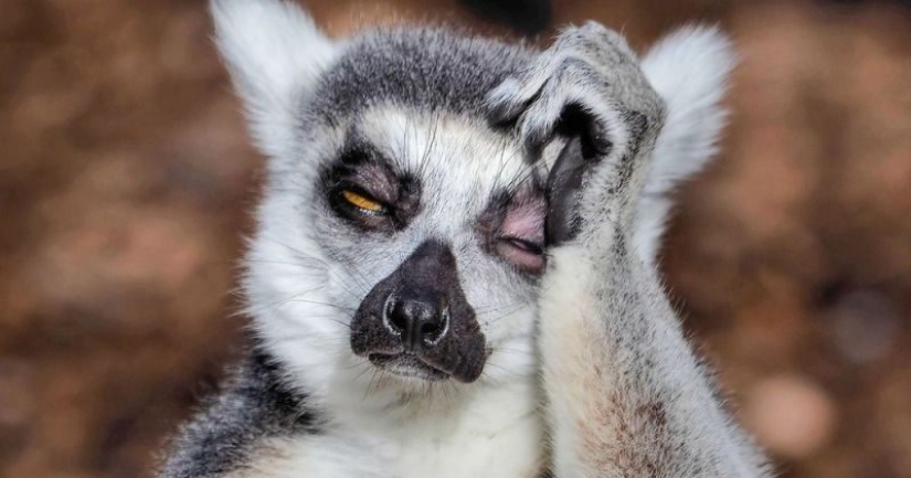 How to stop noting and start living: a short guide at the exit of the Christmas holidays How to stop noting and start living: a short guide at the exit of the Christmas holidays