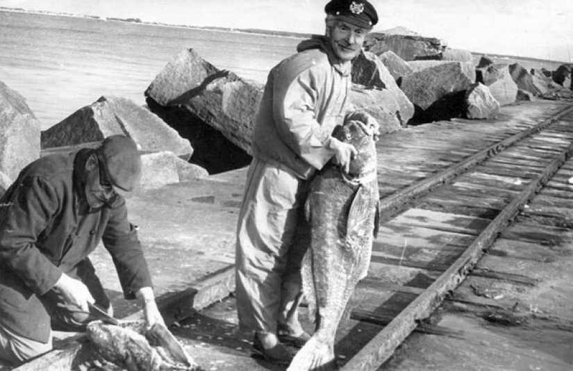 How two psychiatrists had fun: the epic photoshop of Carl Jung and Sigmund Freud