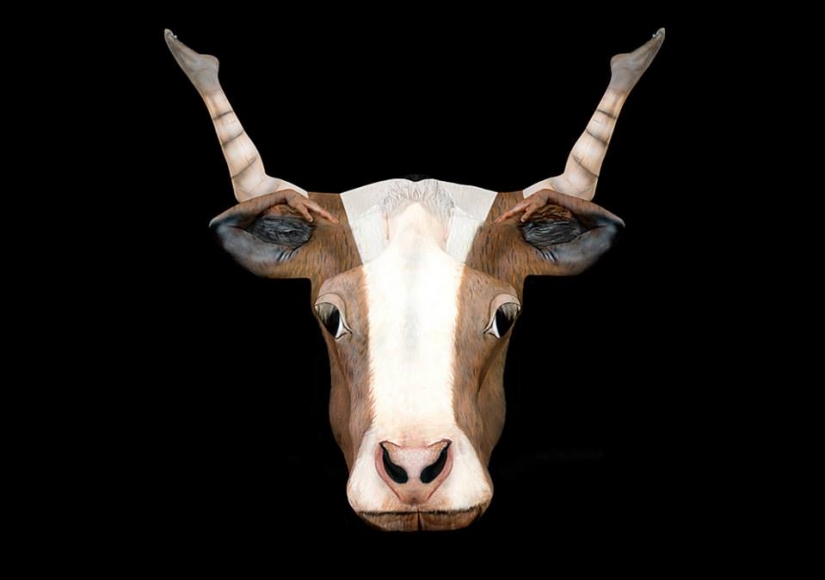 Human bodies hidden in the signs of the zodiac