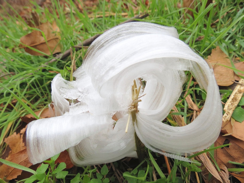 Icy inspiration — 23 photos of interesting formations of ice