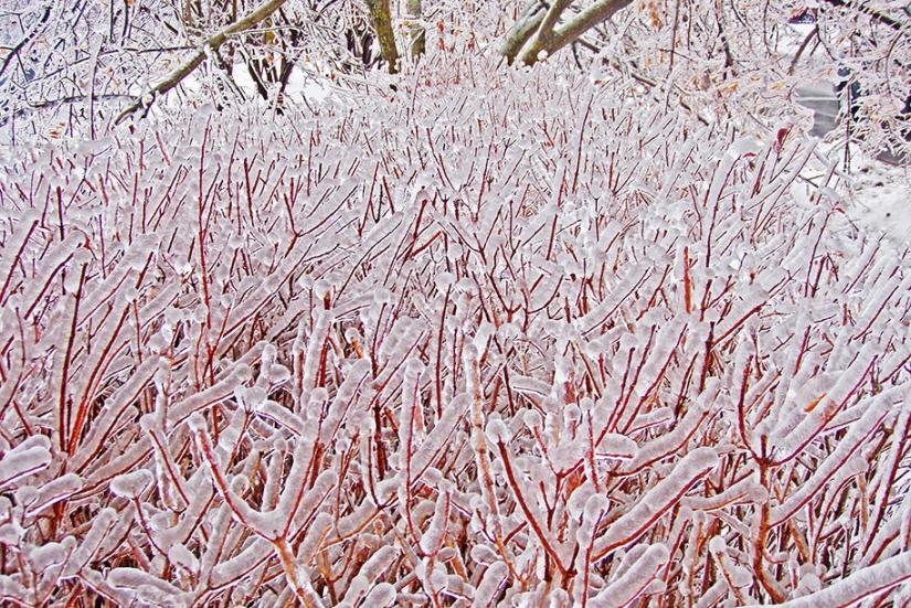 Icy inspiration — 23 photos of interesting formations of ice
