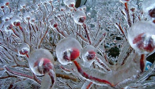 Icy inspiration — 23 photos of interesting formations of ice