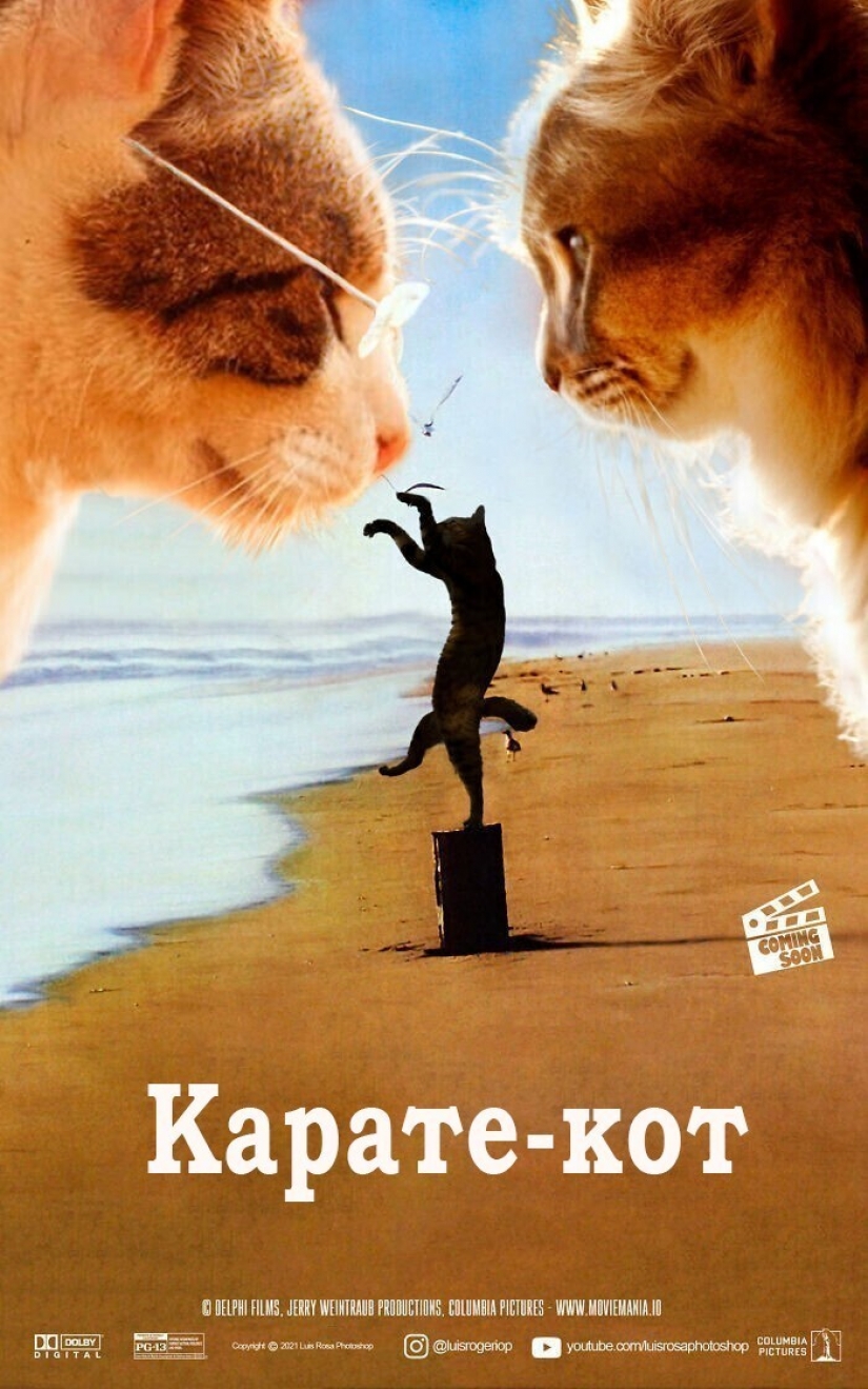 If dogs and cats played in blockbusters