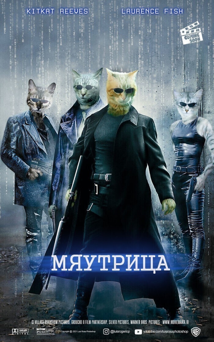 If dogs and cats played in blockbusters