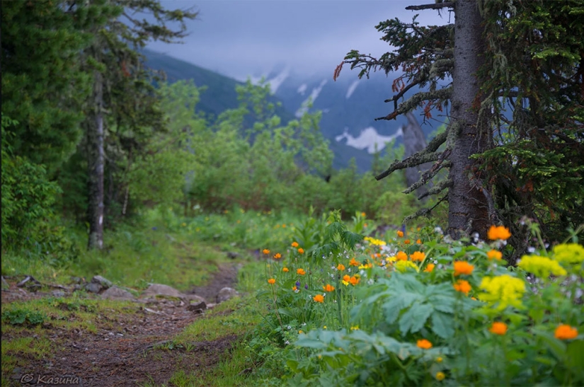 "If you only knew how many friends I buried who led an exceptionally healthy lifestyle!"