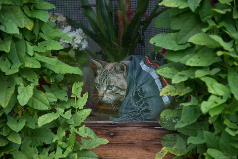 "If you only knew how many friends I buried who led an exceptionally healthy lifestyle!"