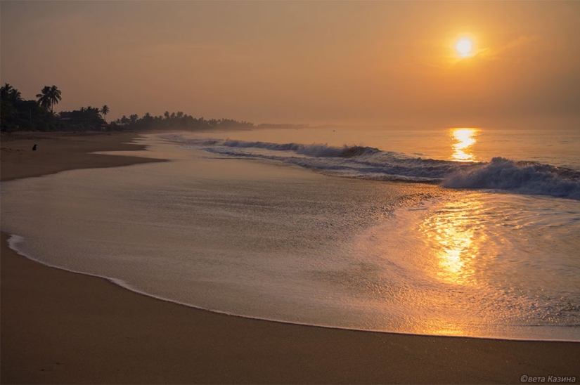 "If you only knew how many friends I buried who led an exceptionally healthy lifestyle!"