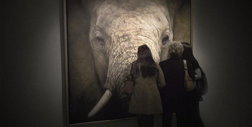 Imágenes increíblemente realistas, similares a las fotos