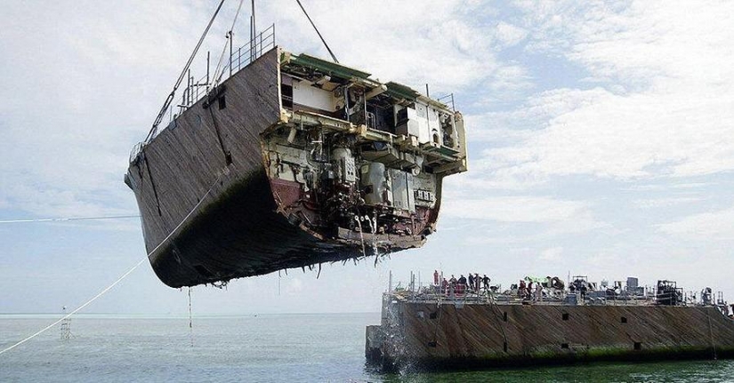 In half: the usual things, cut into pieces