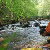 In Hawaii, they found a river with alcohol, but scientists, as always, ruined everything