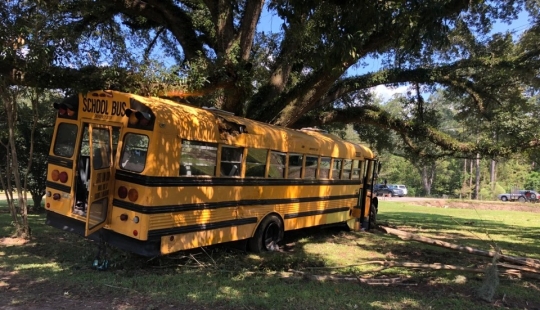 In Louisiana, an 11-year-old boy stole a school bus and crashed it into a tree