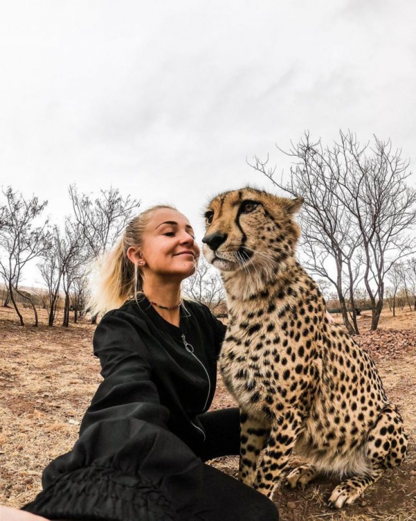 In the arms of cheetahs: this girl lives in the wild and considers predators friends In the arms of cheetahs: this girl lives in the wild and considers predators friends