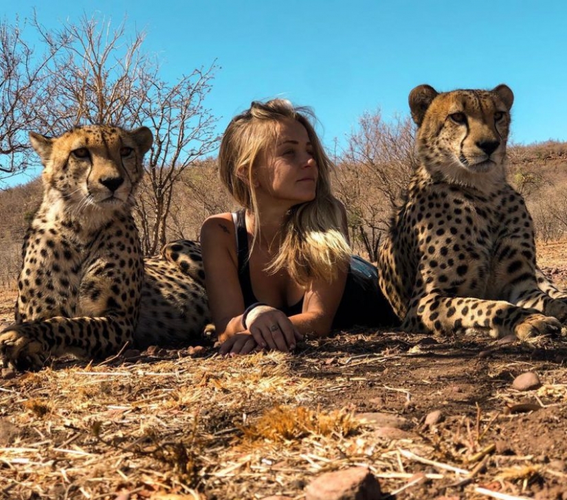 In the arms of cheetahs: this girl lives in the wild and considers predators friends In the arms of cheetahs: this girl lives in the wild and considers predators friends
