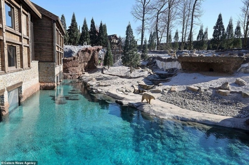 In the Belgian zoo opened rooms with views of wild animals