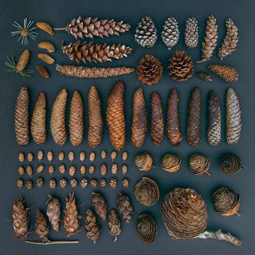 In the order of things