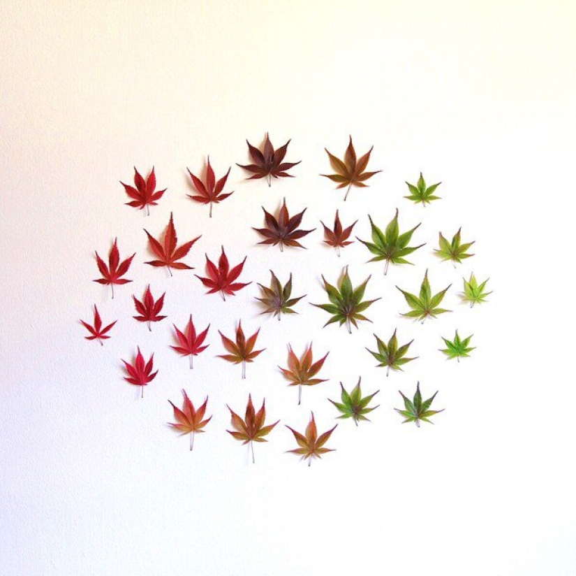 In the order of things