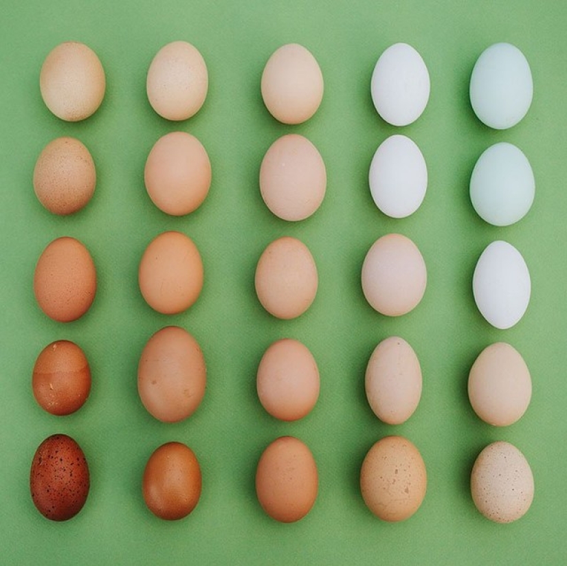 In the order of things