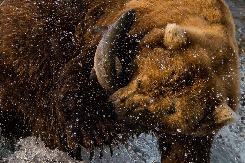 In the right place at the right time