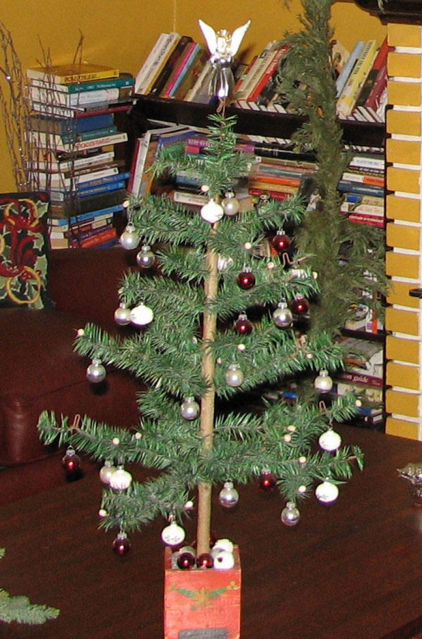 Increíble, pero un hecho Increíble, pero un hecho