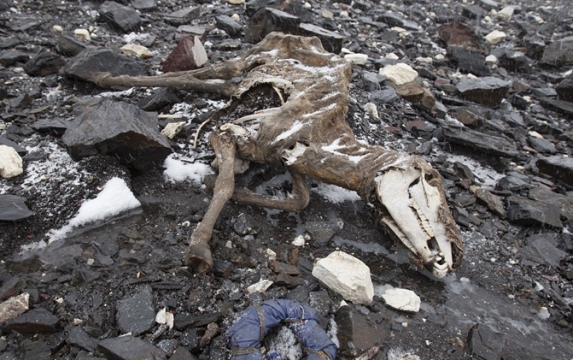 Increíbles imágenes de drones de Karakorum Increíbles imágenes de drones de Karakorum