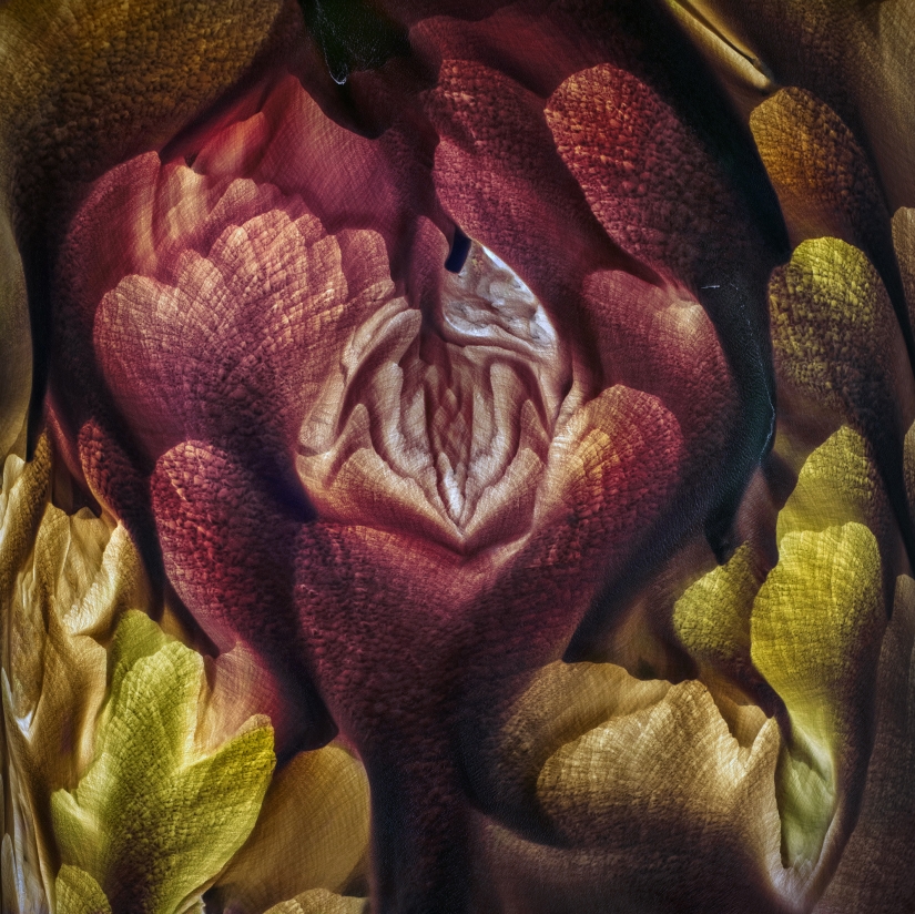 Increíbles paisajes de la naturaleza: 20 fotos que nos recuerdan la belleza de nuestro planeta es Increíbles paisajes de la naturaleza: 20 fotos que nos recuerdan la belleza de nuestro planeta es