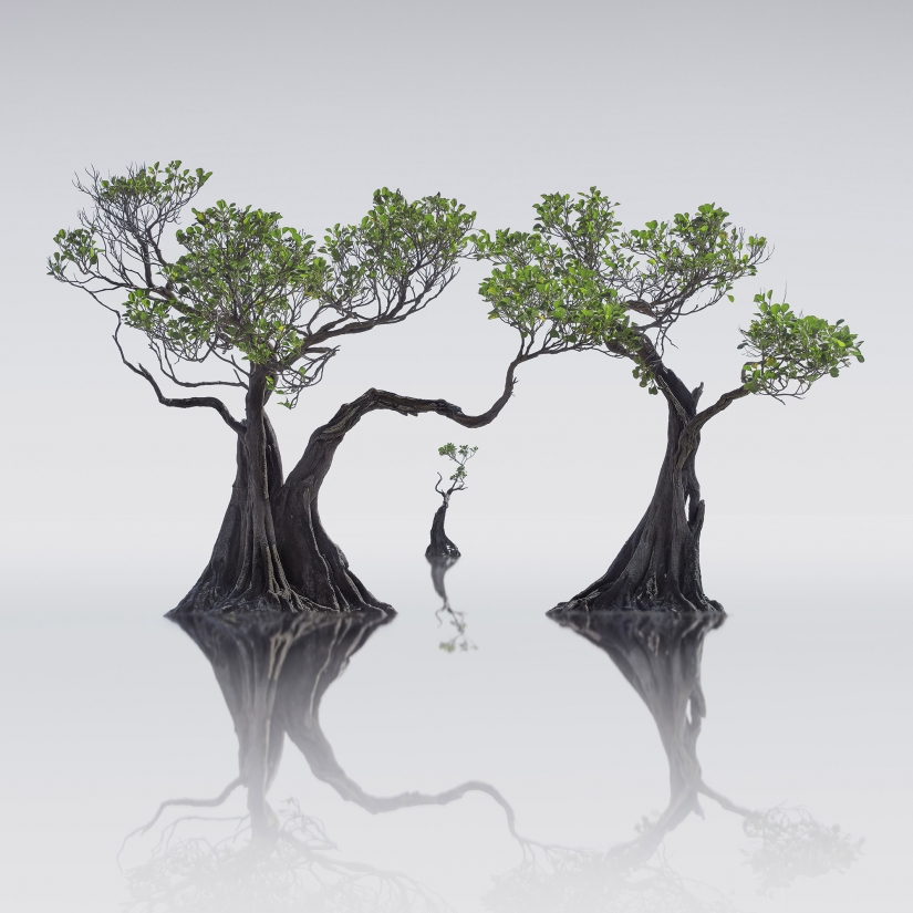 Increíbles paisajes de la naturaleza: 20 fotos que nos recuerdan la belleza de nuestro planeta es Increíbles paisajes de la naturaleza: 20 fotos que nos recuerdan la belleza de nuestro planeta es