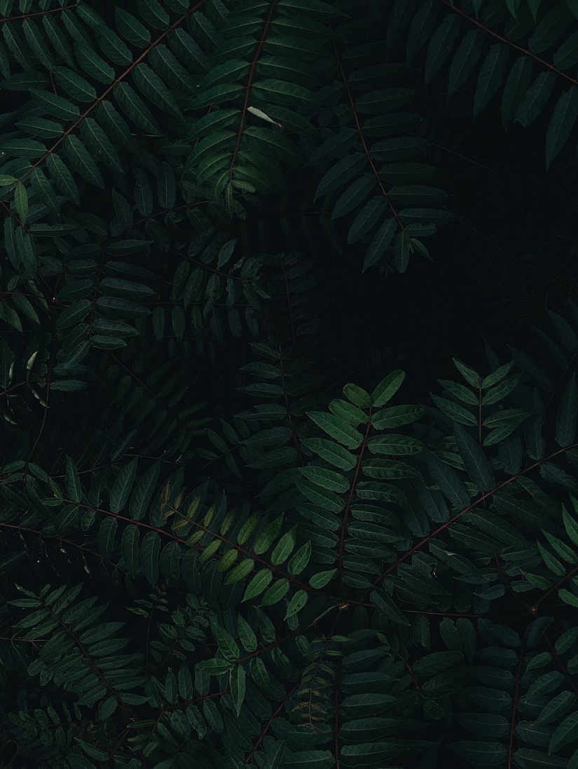 Incredibly, this was filmed on a phone! The best photos of the iPhone Photography Awards 2021 contest Incredibly, this was filmed on a phone! The best photos of the iPhone Photography Awards 2021 contest