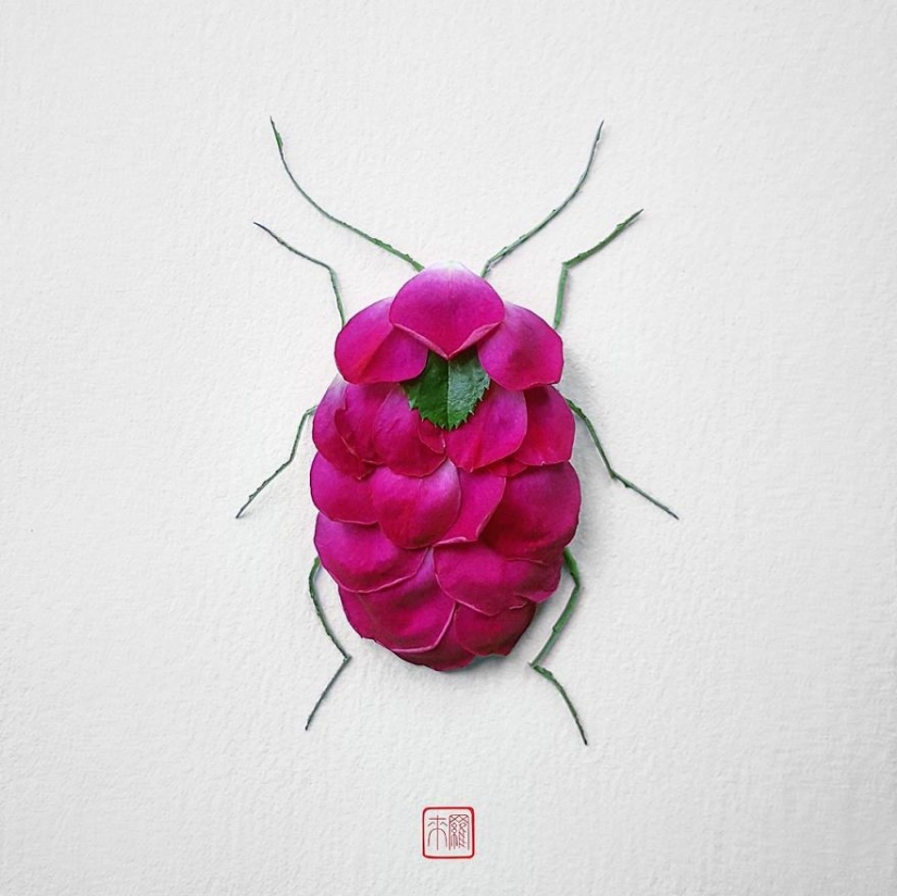 Insectos florales