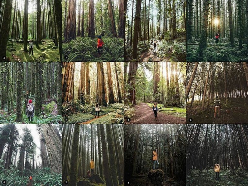 Instagram was flooded with identical photos Instagram was flooded with identical photos