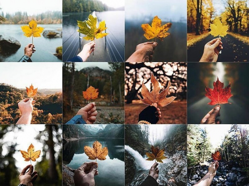 Instagram was flooded with identical photos Instagram was flooded with identical photos