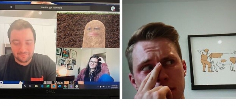 Is difficult: 19 ridiculous and absurd cases, online meetings during the quarantine