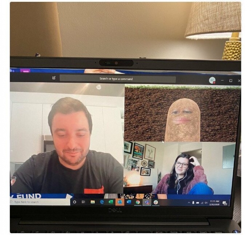 Is difficult: 19 ridiculous and absurd cases, online meetings during the quarantine