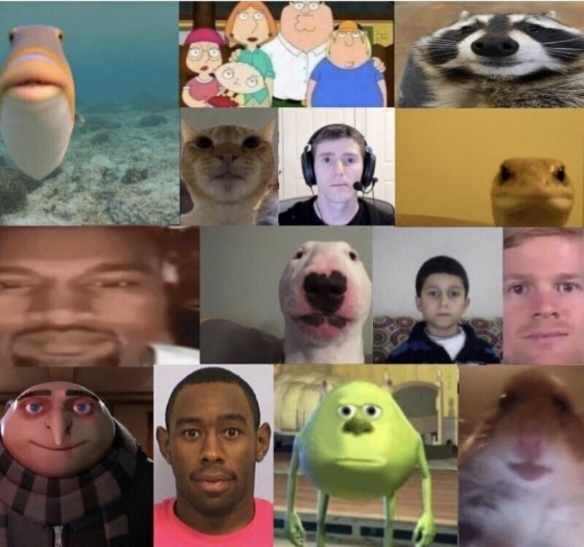 Is difficult: 19 ridiculous and absurd cases, online meetings during the quarantine