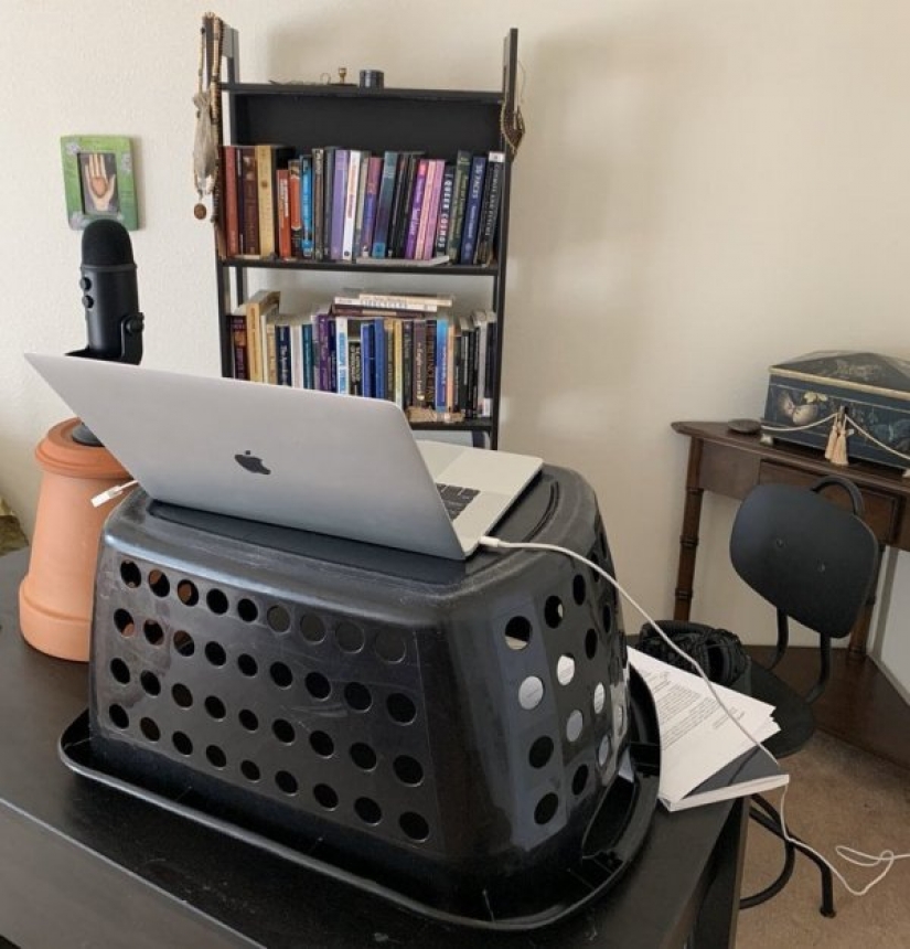 Is: people showed how they have to work from home in quarantine