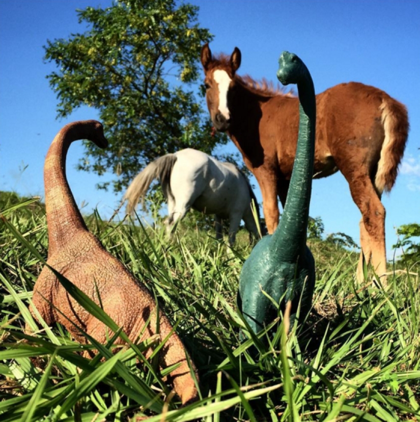 It seems that dinosaurs still roam the earth