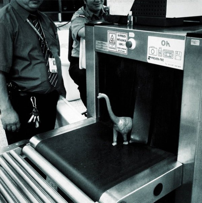 It seems that dinosaurs still roam the earth