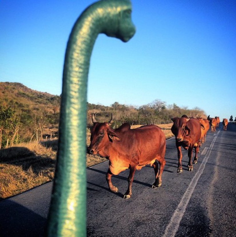 It seems that dinosaurs still roam the earth