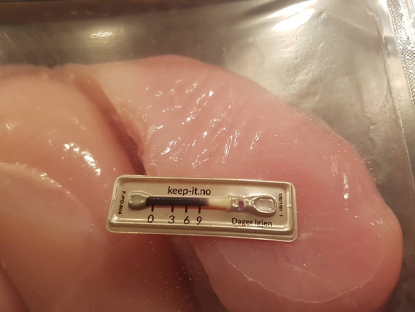 "It's brilliant!": 30 simple, but very useful inventions, which must be everywhere