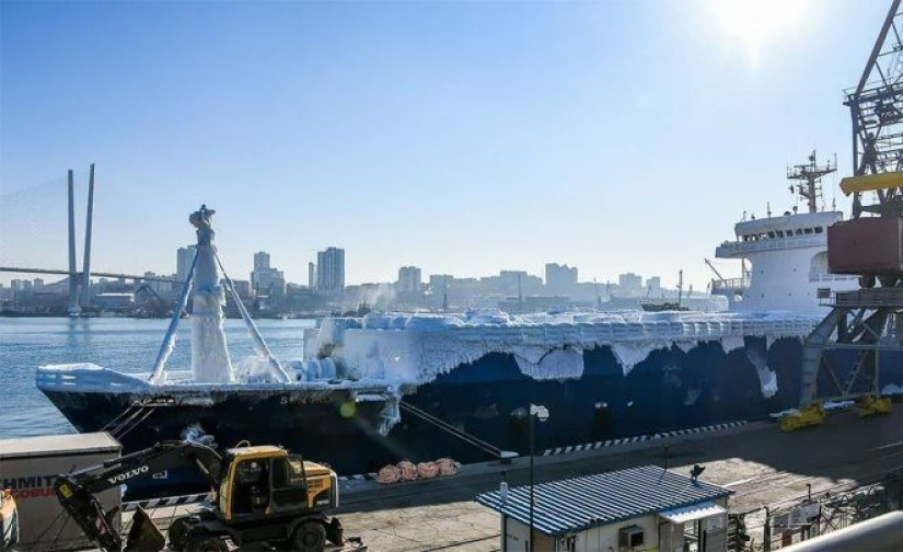 "Japanese in glaze": an unusual batch of cars was unloaded in the port of Vladivostok