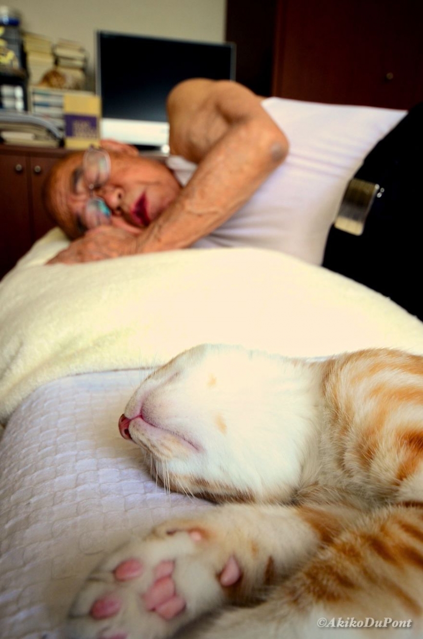 Japanese woman brought her grandfather back to life by giving him a kitten