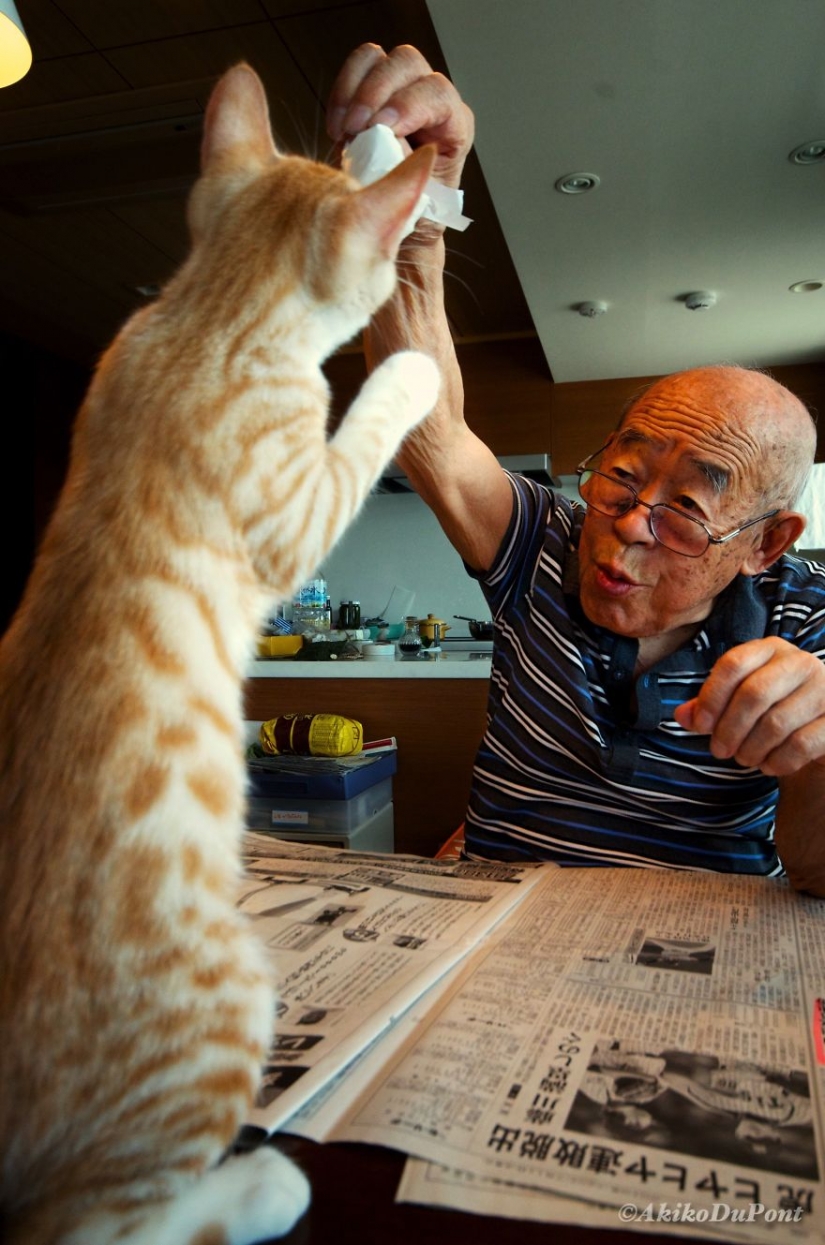 Japanese woman brought her grandfather back to life by giving him a kitten