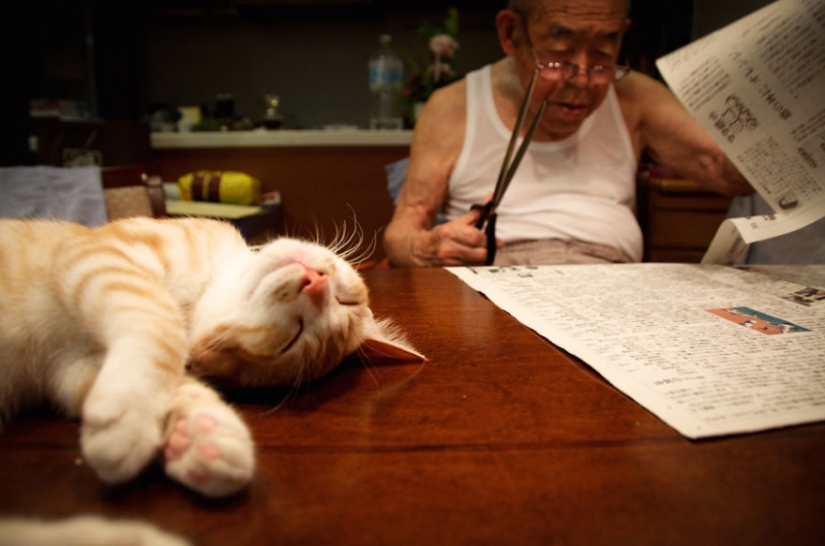 Japanese woman brought her grandfather back to life by giving him a kitten
